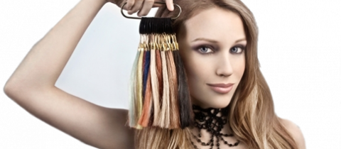 Extensions de cheveux